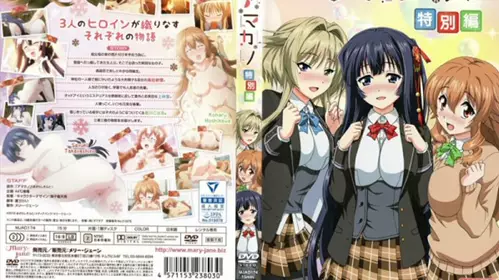 dmアマカノ 特别编