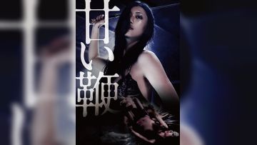 甜蜜皮鞭