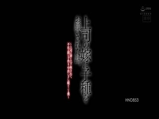 性感频道